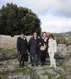 R525.jpg