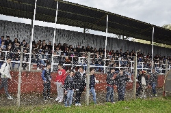 R811.jpg
