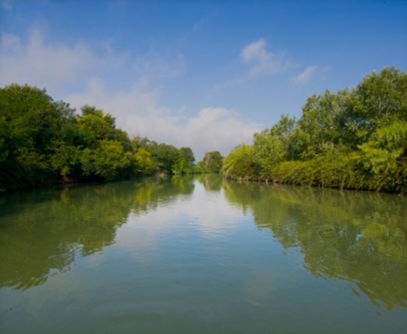 Fiume Tevere