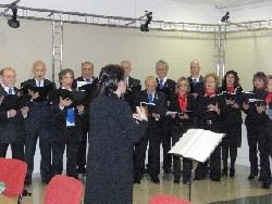 R262.jpg